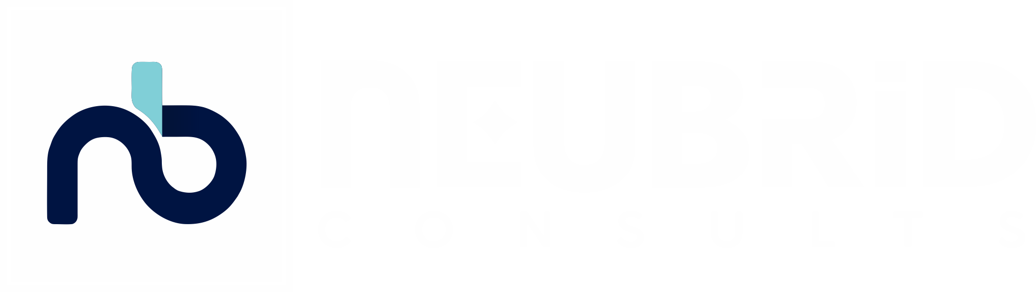 Neubrid Consults